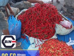 Harga Cabe Merah Dan Kecil Bersaing Ketat Di Pasar Tradisional Kota Langsa