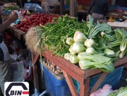 Tidak Jelas Program Ketahanan Pangan Gampong, Diduga SPPG Kota Langsa Pasok Bahan Pangan Luar Aceh