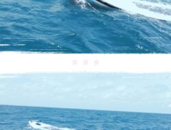 Kapal Tongkang Prima Samudra 2 Balik Papan Tabrak Lari Kapal Nelayan Saat Memancing