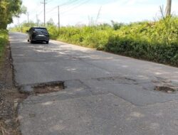 Jalan Pali Linggau Berlubang, Masyarakat dan Sopir Desak Dinas Terkait Gercep Menanggapi Persoalan Jalan