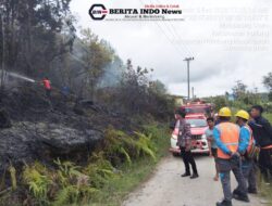 Damkar Bergerak Cepat, Kebakaran Lahan di Pollung Berhasil Dipadamkan