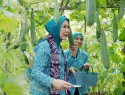 PKK Mitra Strategis Pembangunan Berbasis Keluarga
