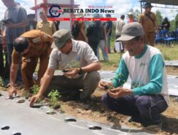 ‎Bupati Taput Dorong BUMDes Sisordak Jadi Pemasok Program Makan Bergizi Gratis  ‎