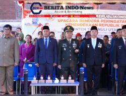 ‎Lautan Cahaya dan Pesta Kembang Api Warnai Semarak Malam Taptu HUT ke-81 RI di Tarutung